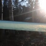 Maple sap droplets moving through the main line between maple trees, with sun in the background.