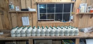 Dodge's maple syrup bottling 2026