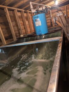 Sap dumping out of releaser